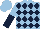 Light Blue and Dark Blue diamonds, halved sleeves