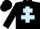 Black, light blue cross of Lorraine