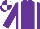 Purple, white braces, quartered cap