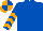 Royal blue, orange chevrons on sleeves, orange and royal blue quartered cap