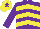 Purple, Yellow chevrons, Purple sleeves, Yellow cap, Purple star