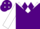 Purple, white yoke, purple diamonds on white slvs