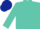 Turquoise, dark blue cap
