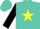 Turquoise, yellow star in black horseshoe, black sleeves