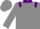Gray, purple grizz, brown bear, purple collar, epaulets & bars