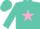 Turquoise, pink star