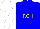 Blue with gold 'rgh', white sleeves, blue and white cap