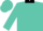 Turquoise, black shield with 'cl' in middle, black collar
