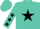 Turquoise, black star, black stars on sleeves