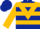 Dark blue, gold triangular panel, gold hoops on sleeves