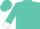 Turquoise, white 't' in white horseshoe, white cuffs
