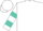 White,turquoise emblem,turquoise 'lrv', hoops on slvs