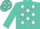 Turquoise, white stars, turquoise cap, white stars