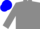 Grey body,  grey arms, blue cap