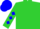 Lime green, blue tree, blue diamonds on sleeves, blue cap
