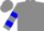 Grey, blue circled wf, blue bars on sleeves