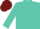 Turquoise, burgundy 'gt', turquoise sleeves, burgundy cap
