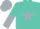Turquoise, silver star, turquoise hoops on silver sleeves, turquoise and silver halved cap