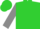 Lime green, dark blue band on grey sleeves
