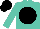 Turquoise, black disc, black cap