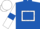 Royal blue, white hollow box, white sleeves, royal blue armlets and diamond on white cap