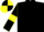 black, yellow armlets on sleeves, black and yellow quartered cap