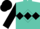 Turquoise, black diamond hoop, black diamond seam on sleeves, black cap