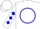White, blue circle, white sleeves, blue diamonds, white cap