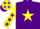 Purple, bright yellow star, yellow sleeves, purple stars and cuffs, bright yellow cap, purple stars and peak