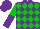 Purple and green checked diamonds, green and purple halved sleeves, purple cap