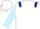 White, Dark Blue epaulets, Light Blue sleeves