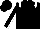 Black, white epaulettes, black sleeves, white seams, black cap