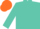 Turquoise blue, orange 'v' bib, orange cap