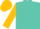 Turquoise, gold sleeves and cap