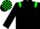 Black body, soft green epaulettes, black arms, soft green cap, black check