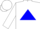 White, white 'rsr' in blue triangle