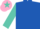 Royal blue, pink crossed sashes, turquoise sleeves, pink cap, turquoise star