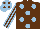 Brown, light blue spots, striped sleeves, light blue cap, brown spots