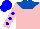 Pink, Royal Blue Yoke, Blue Dots on Sleeves, Blue Cap