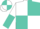White and turquoise quartered, halved sleeves, quartered cap