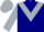 Navy blue, silver chevron, sleeves and cap