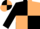 Black and beige (quartered), black sleeves