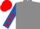 Grey, royal blue sleeves, red stars, red cap