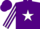 Purple, white '3p' and horseshoe, white star stripe on sleeves