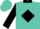 Turquoise, black diamond frame, black w, black collar, black sleeves