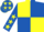 Yellow and royal blue (quartered), royal blue sleeves, yellow stars