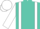 Turquoise, white braces, sleeves and cap