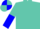 Carmine, turquoise blue and carmine halved sleeves, quartered cap