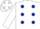 White, dark blue spots, white sleeves