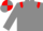 Grey Body, Red epaulets, Grey Arms, Grey Cap, Red Quartered